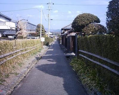 土居廊中