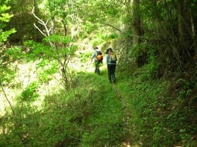 龍馬脱藩ゆかりの道・津野山街道